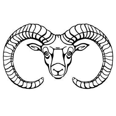 longhorned keçi. kafa. fullface