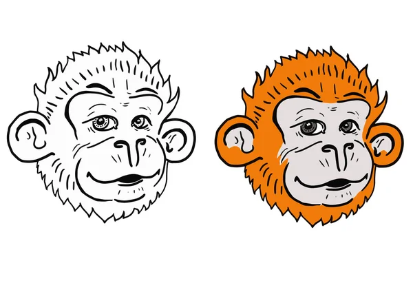 Κόκκινο κεφάλι μαϊμού — Διανυσματικό Αρχείο