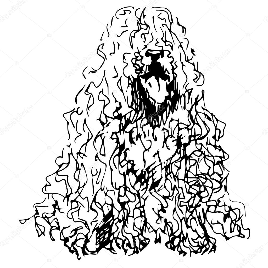 Hairy Dog , a lot of hair