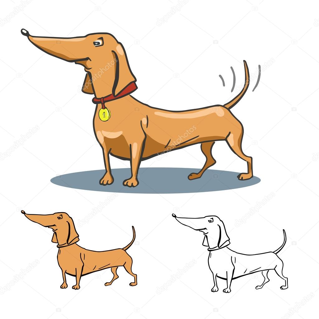Dachshund silhouette of the dog