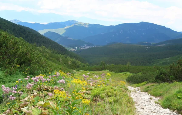 Naturaleza Salvaje Low Tatras Nizke Tatry Camino Desde Las Montañas — Foto de Stock