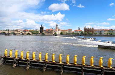 Arka planda Charles Köprüsü (Karluv) ile Kampa Parkı 'ndaki Vltava Nehri' ndeki sarı penguenler, Çek Cumhuriyeti 'nin Kampa, Prag, Boheman Bölgesi' nden manzara