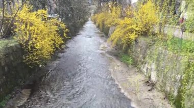 Bolluk su Nehri üzerinde