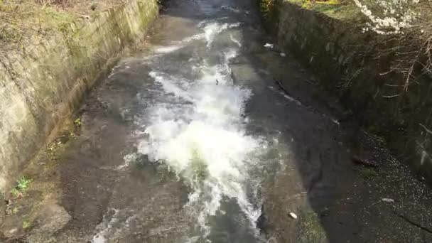Bolluk su Nehri üzerinde — Stok video