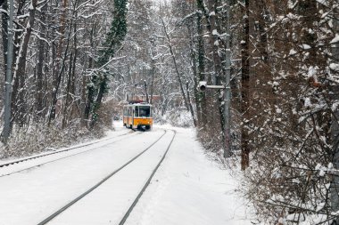 SOFYA, BULGARIA - 14 Şubat 2021: sarı tramvay. Kış. Kar yağıyor. Ormanda dur. Karla kaplı ağaçlar. Tramvay karda duruyor. Güzel kış manzarası