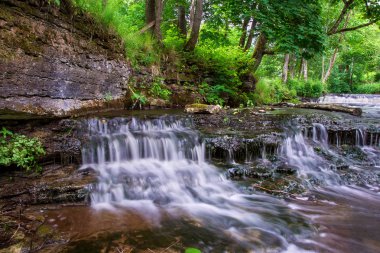 şelale Estonya Milli Parkı