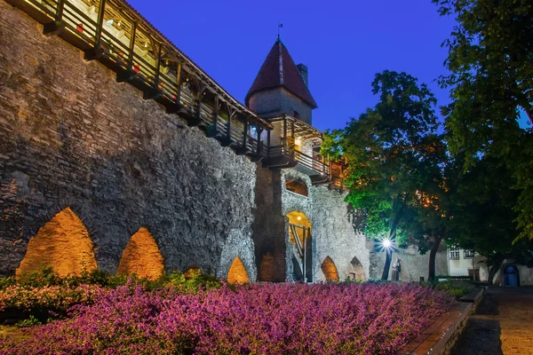 Gece tarafından renkli eski Tallinn — Stok fotoğraf