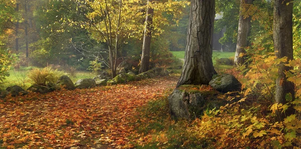 Herfstlandschap — Stockfoto