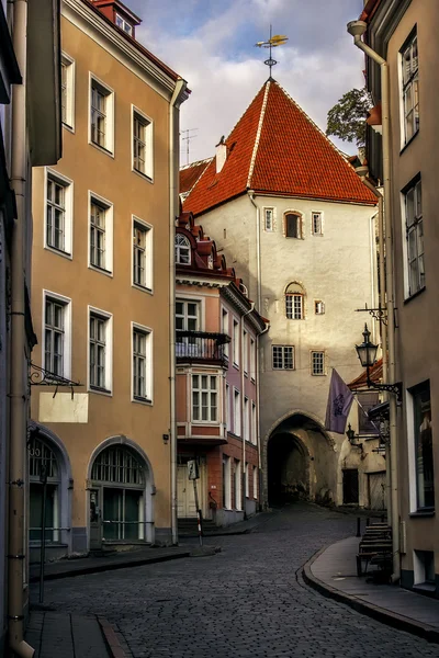 Old Tallinn — Stock Photo, Image