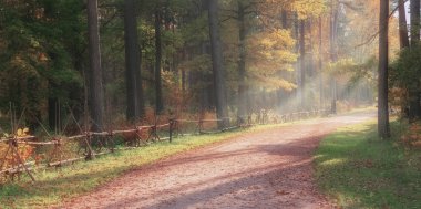 Güneş yol