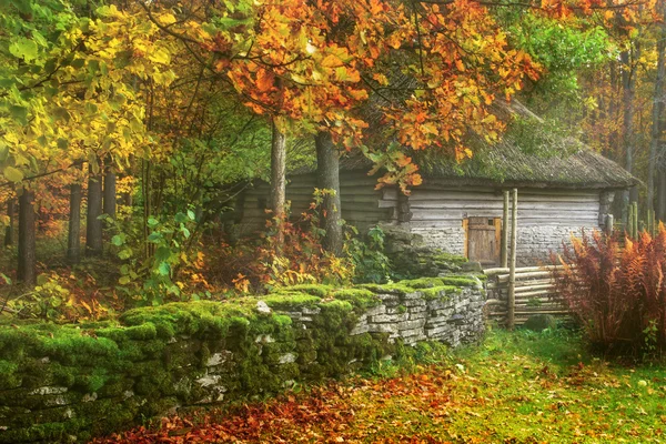 Prachtige binnenplaats — Stockfoto