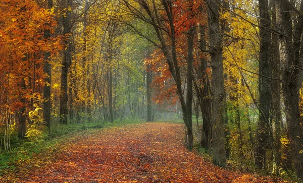 Herbst — Stockfoto