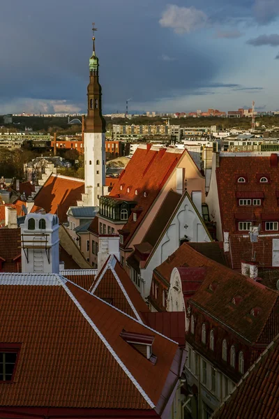 Antiguo Tallin — Foto de Stock