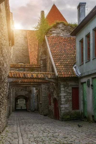 Rua de Tallinn velho — Fotografia de Stock