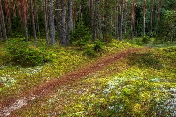 Начало осени — стоковое фото