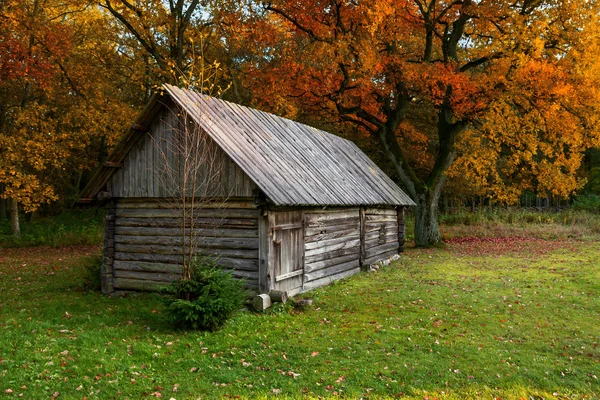 Shed in the Estonian farm — Stock Photo, Image