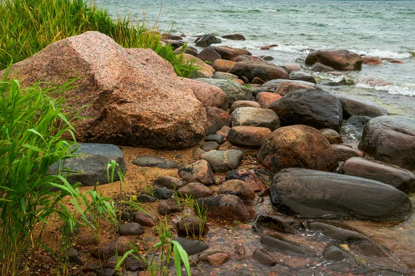 Tones on the shore of the Baltic Sea — Stock Photo, Image