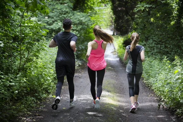 friends running on forest trail