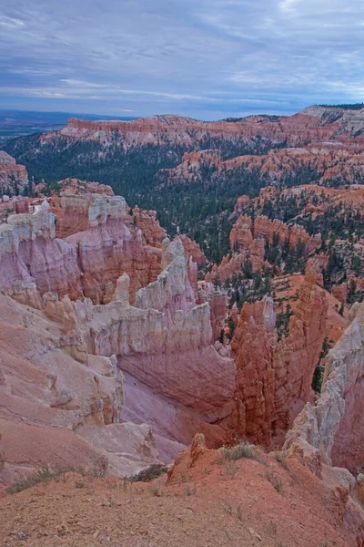 Vue Sur Canyon Bryce Depuis Sunrise Point — Photo