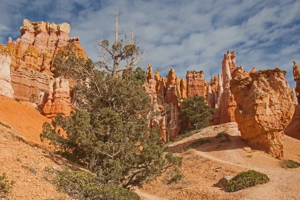 View Bryce Canyon Landscape Seen Queens Garden Trail — Stock Photo, Image