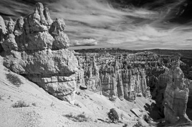 Navajo döngüsünden görünen Bryce Kanyonu 'nun tek renkli manzarası