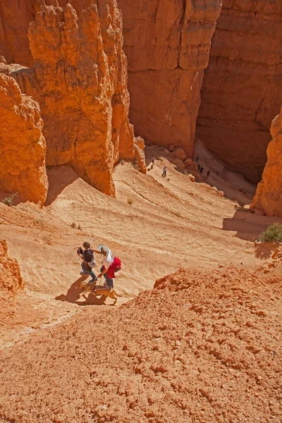 Kör Bir Adam Oğlu Rehber Köpeği Ile Yürüyüşe Çıkıyor Navajo — Stok fotoğraf