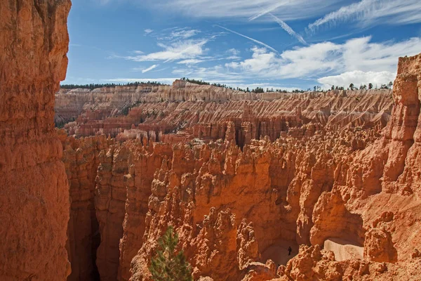 Blick Auf Die Landschaft Des Bryce Canyons Vom Navajo Loop — Stockfoto