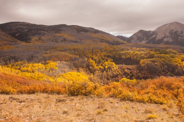 Mantı-La Sal Ulusal Ormanı