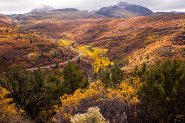 Manti-La Sal Ulusal Ormanı 2026