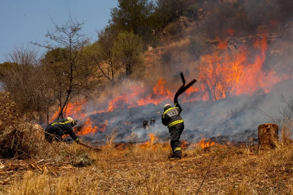 Fire fighters at work — Stock Photo, Image