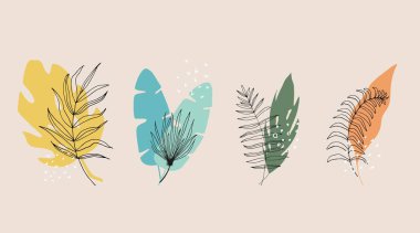 Çiçek ve soyut şekil koleksiyonu, çıkartma, tasarım ögesi, bitki, yapraklar, el çizimi moda karalama tarzı. Kağıt, kapak, kumaş ve iç dekorasyon için vektör çizimleri. elementler izole