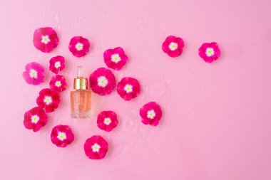 Cam şişe kozmetik serumu, pipetli, çiçekli pembe arka planda su damlaları olan yüz özü. bitkisel özlü organik ürün, çiçek yağı, evde bakım kavramı