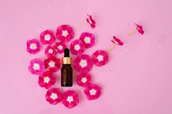Szklana Butelka Serum Kosmetycznego Pipetą Esencja Twarzy Kwiatowym Różowym Tle — Zdjęcie stockowe