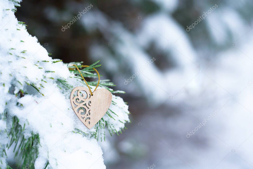 heart on snow on fir branches in winter, valentine's day holiday background concept.