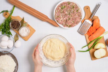 Özbek mantisini evde pişirme süreci, malzemeler et, sebze ve hamurdur. Işık arkaplan üzerindeki üst görünüm.