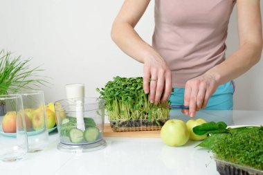 Adım adım mikro-yeşil elma salatalığı ve ıspanaktan meyve püresi yapma tarifi. Kadın elleri sebzeleri kesiyor ve onları miksere koyuyor. Hafif arka planda organik gıda detoksu için çırpıyorlar..