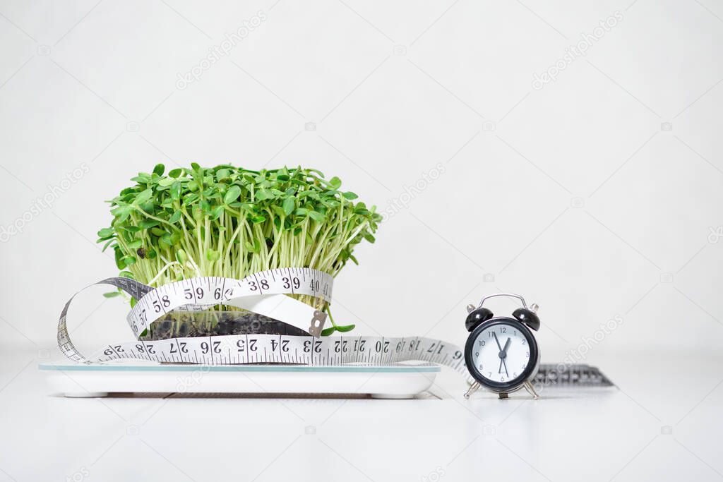 micro-green on the scale for measuring body weight, centimeter tape for the body, clock on a light background. means and items for a diet, a healthy lifestyle concept . vegan superfood trend.