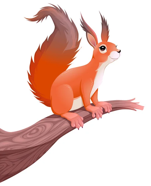 Funny squirrel on branch — Stock Vector