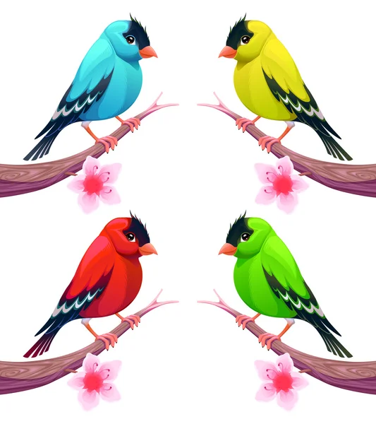 Grupp av fåglar i olika färgtoner — Stock vektor