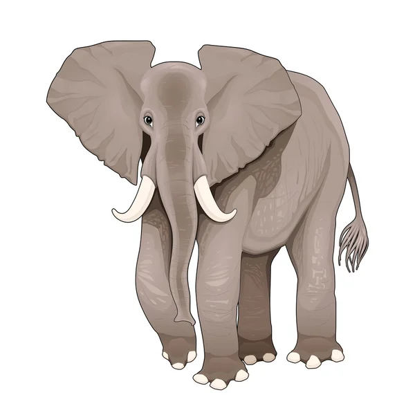 Elefante. — Vettoriale Stock