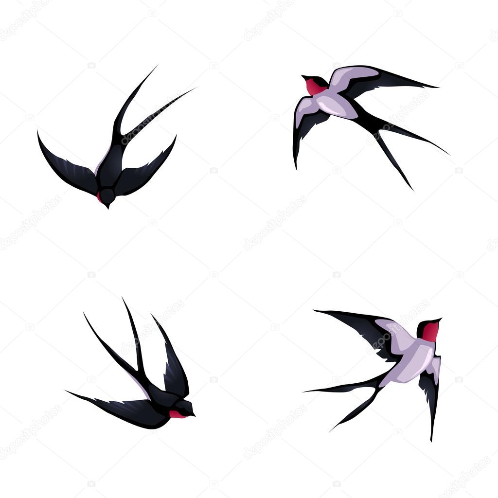 Four swallows.