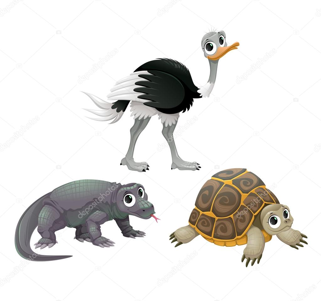 Funny Australian animals, ostrich, turtle and Komodo dragon