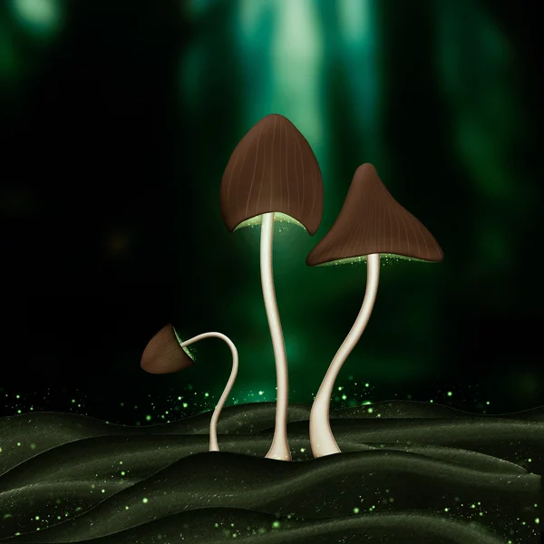 Mushrooms toadstools in the forest. Illustration fairy tale for children.