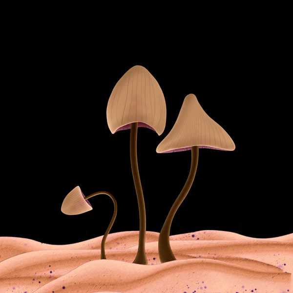 Mushrooms toadstools in the forest. Illustration fairy tale for children.