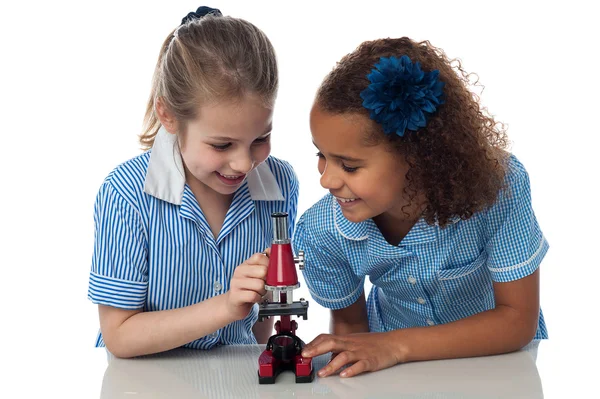 Meninas da escola trabalhando com microscópio — Fotografia de Stock