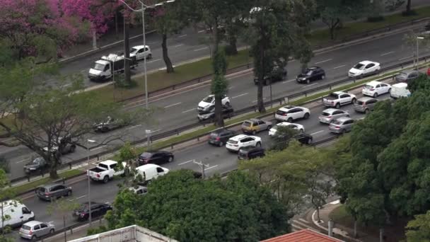 São Paulo City Brasilien Trafiken Bandeirantes Avenue — Stockvideo