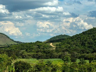 Kırsal alan ve arka planda toprak yol. 