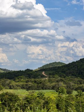 Kırsal alan ve arka planda toprak yol. 