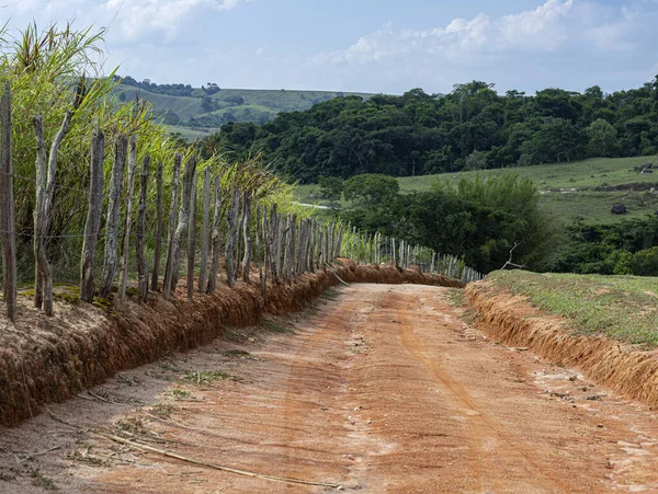 Ein Feldweg Der Nach Unten Führt — Stockfoto