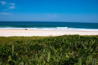 Güney Amerika 'da güzel bir sahil. Jacone Plajı, Rio de Janeiro Eyaleti, Brezilya.
